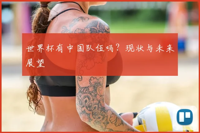 世界杯有中国队伍吗？现状与未来展望