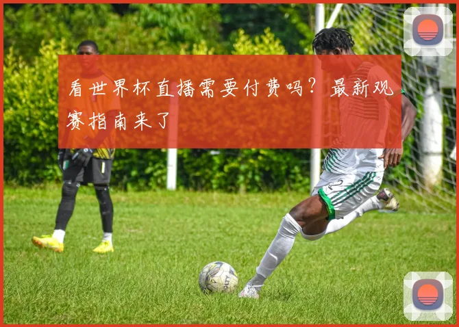 看世界杯直播需要付费吗?最新观赛指南来了