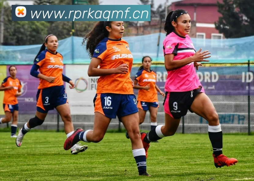 乐鱼网页版官方登录入口品牌故事